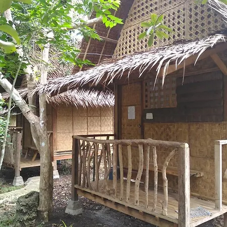 Bohol Coco Farm-2