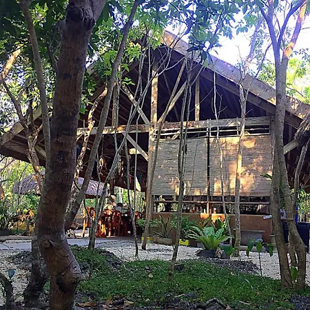 Bohol Coco Farm-3